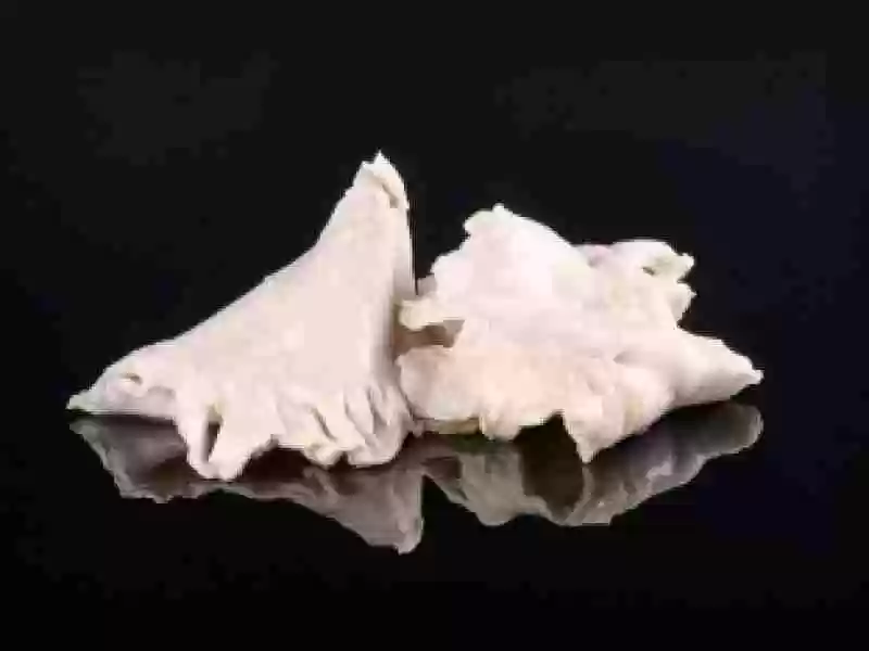 TRIPAS DE BACALAO EN SALMUERA